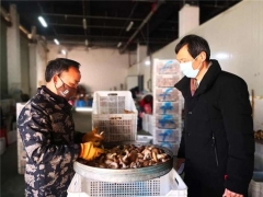 浙江省委疫情防控巡回督导组持续跟踪加快主导产业复工复产 庆元香菇“活”起来了 ()