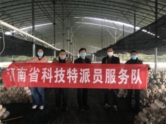 香菇平菇已卖1.2万公斤！漯河医专助力帮扶村很得力 ()