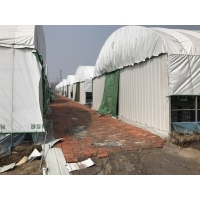 绿白膜 Manbetx体育手机版推荐A9版本绿白膜 菌菇大棚绿白膜 蘑菇大棚绿白膜