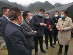 贵州省市Manbetx体育手机版推荐A9版本专家走进德江田间地头 “把脉问诊” ()