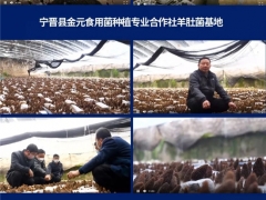 超1.78万人次，3400条留言！2020第五届全国Manbetx体育手机版推荐A9版本大会圆满结束 ()