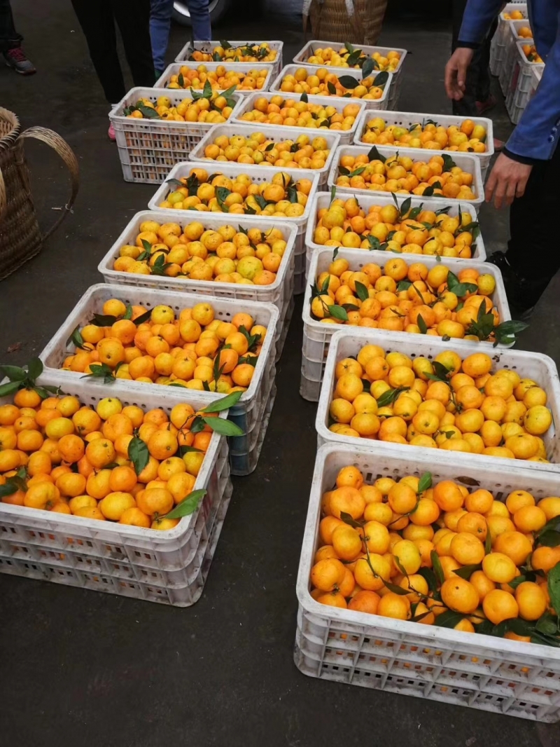 微信图片_20200307084446