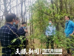 专家助力，册亨县确定首期2万棒林下红托竹荪试点基地 ()