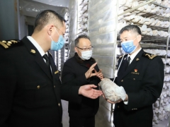 三门峡海关：助力企业复工复产 Manbetx体育手机版V17版本发布.官网安卓网.香港出口创新高 ()