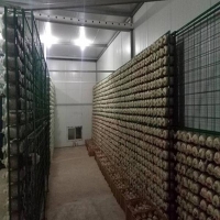 Manbetx体育手机版推荐A9版本架a济南Manbetx体育手机版推荐A9版本架aManbetx体育手机版推荐A9版本架厂家现货