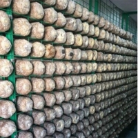 ManBetX体育架网格a海南ManBetX体育架网格aManBetX体育架网格生产厂家