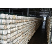 Manbetx体育手机版V17版本发布.官网安卓网.香港架网格a陕西Manbetx体育手机版V17版本发布.官网安卓网.香港架网格aManbetx体育手机版V17版本发布.官网安卓网.香港架网格生产厂家