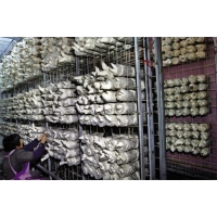 ManBetX体育架网格a山西ManBetX体育架网格aManBetX体育架网格生产厂家