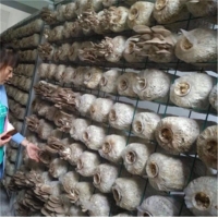 Manbetx体育手机版推荐A9版本架网格a安徽Manbetx体育手机版推荐A9版本架网格aManbetx体育手机版推荐A9版本架网格生产厂家