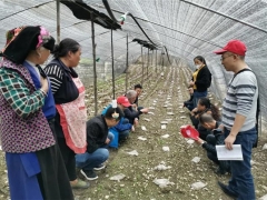 多点作战 Manbetx体育手机版V17版本发布.官网安卓网.香港技术服务团处处献高招 ()