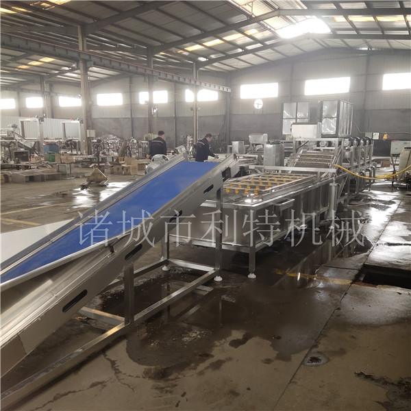 玉米粒清洗机 (3)