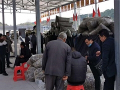 湖北十堰香菇小镇正值农忙 疫情期间香菇销售280万斤 ()