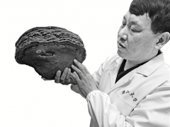 拥有一座菌菇博物馆 浙大“蘑菇”学者开课科普多彩菌菇世界 ()