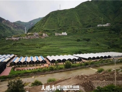 探秘！Manbetx体育手机版V17版本发布.官网安卓网.香港发展中的菌农期待与产业链回应 ()