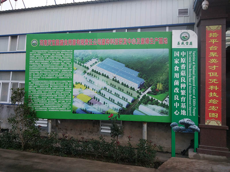 菌棒,种ManBetX体育改良图片小