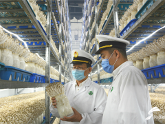 德州ManBetX体育首次出口打开东盟市场 首批15吨ManBetX体育发往泰国 ()