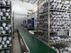 创新生产管理模式 河南卢氏香菇“香味”更浓 ()