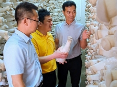 福建省“ManBetX体育脆片加工示范基地”落户漳州 ()