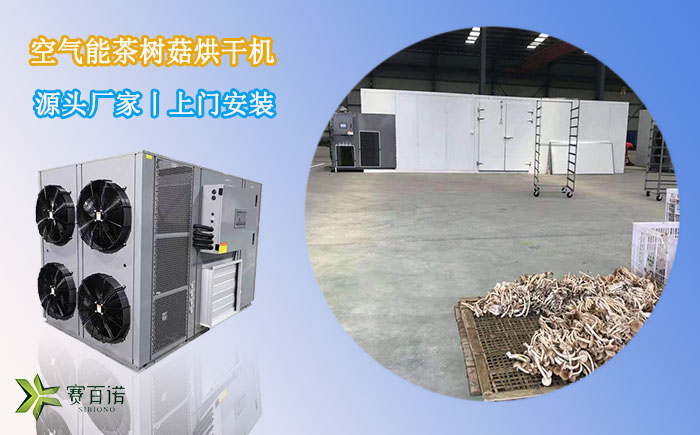 云南茶树菇烘干机
