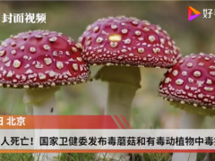 已造成6人死亡！国家卫健委发布毒蘑菇和有毒动植物中毒提示 ()