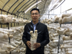 学机械的种起了蘑菇，胶州小伙跨界创业年产值三千多万出口多国 ()