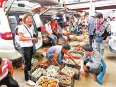 云南大量野生Manbetx体育手机版V17版本发布.官网安卓网.香港上市 享用野生菌有学问 ()