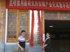 中华全国供销合作总社昆明Manbetx体育手机版V17版本发布.官网安卓网.香港研究所安顺研发中心揭牌 ()