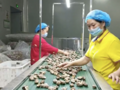 北京，我们来了！随州香菇支援北京 ()