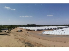 陕西榆林：首次实现北方地区人工种植Manbetx体育手机版V17版本发布.官网安卓网.香港 ()