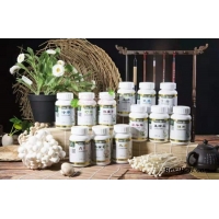 春芝堂真菌多糖舒荣茶树菇Manbetx体育手机版推荐A9版本使您身强体健