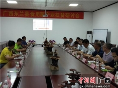 革命老区广西东兰研讨Manbetx体育手机版V17版本发布.官网安卓网.香港产业扶贫 ()