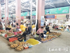 为菌疯狂的时候到了！昆明野生菌大量上市 干巴菌最低300元/公斤 ()