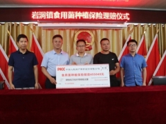 因暴风雨Manbetx体育手机版V17版本发布.官网安卓网.香港种植基地受损 人保财险及时赔付助复产 ()