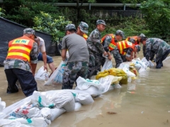 60万棒秀珍菇被水浸泡 淳安上演速度与温情兼具的“菌菇大救援” ()