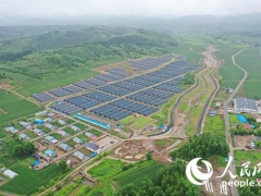 人民网："小木耳"如何做成"大产业"——专访中国工程院院士李玉 ()