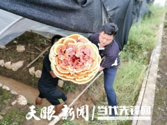 施秉县地坝村：灵芝“开花”幸福来 ()