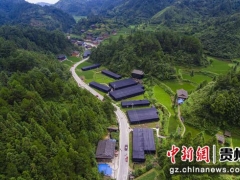 贵州台江：香菇产销旺 农民喜增收 ()