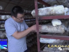 科技特派员贺晓龙：让ManBetX体育成为延安农民致富“好帮手” ()