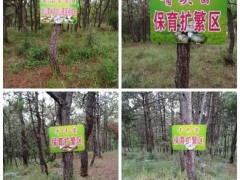 云南曲靖马龙区建成千亩野生菌保育扩繁基地 ()