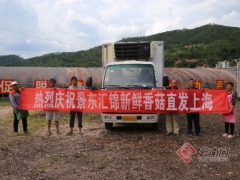 复工复产后 云南景东首车香菇运往上海 ()