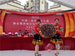 “巨无霸”菌王亮相中国·南华第十七届野生菌美食文化节 ()