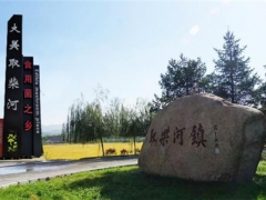 磐石市2020年“中国农民丰收节”暨取柴河蘑菇节通知 ()