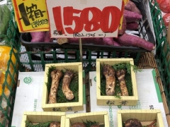 今年松茸季“异变”：对日出口滑坡 顶级松茸国内热卖——不仅因为疫情 ()