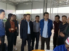 中国农科院Manbetx体育手机版推荐A9版本专家团队前往略阳县调研指导Manbetx体育手机版推荐A9版本产业发展 ()