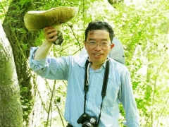 杨祝良研究员获2020年云南“最美科技工作者”称号 ()