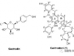 昆明植物所在天麻活性物质研究中取得进展 ()
