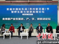 首届中国松乳菇节在贵州修文举行 嘉宾共话ManBetX体育产业发展 ()