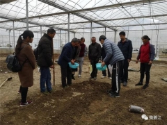 铜仁市2020年ManBetX体育Manbetx体育手机版推荐A9版本培训班在碧江举行 ()