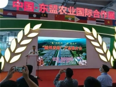 “随州香菇”登上中国-东盟国际合作大舞台 ()