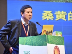 戴玉成：所有桑黄种类都具有增强免疫力等功能 ()